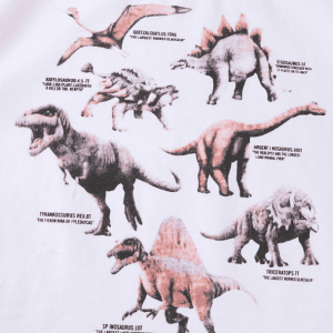 Y2K Aesthetic Age of Dinosaurs Tee - Retro 90s Grunge Style Top